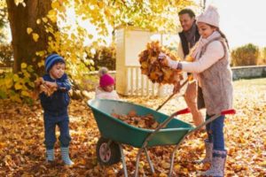 Fall Season